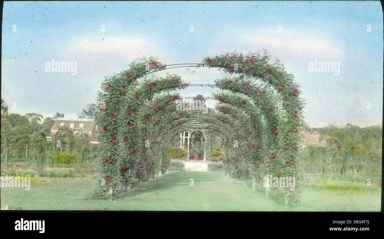 The trellis in Elizabeth Park Rose Garden in Hartford, Connecticut, captured in 1913. The Arrases toured New England on their way to Europe, and this photo is part of their documentation of the journey. Stock Photo