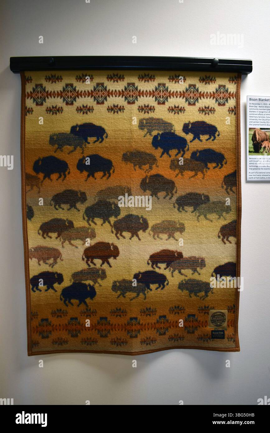 Pendleton Native American Drawing Designs Pendleton Wool Blanket