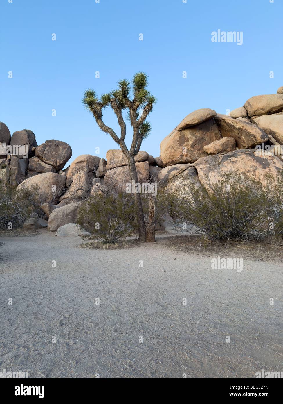 rock formation with desert greenery in California - Smartphone Captured Stock Image