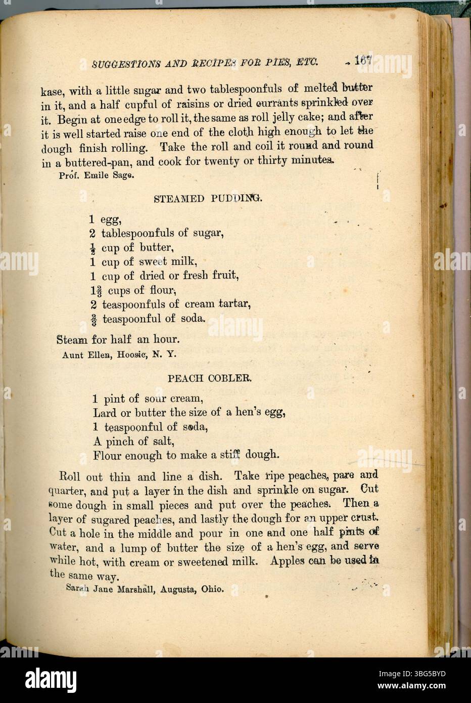 in-this-section-of-the-housekeeper-s-new-cook-book-1883