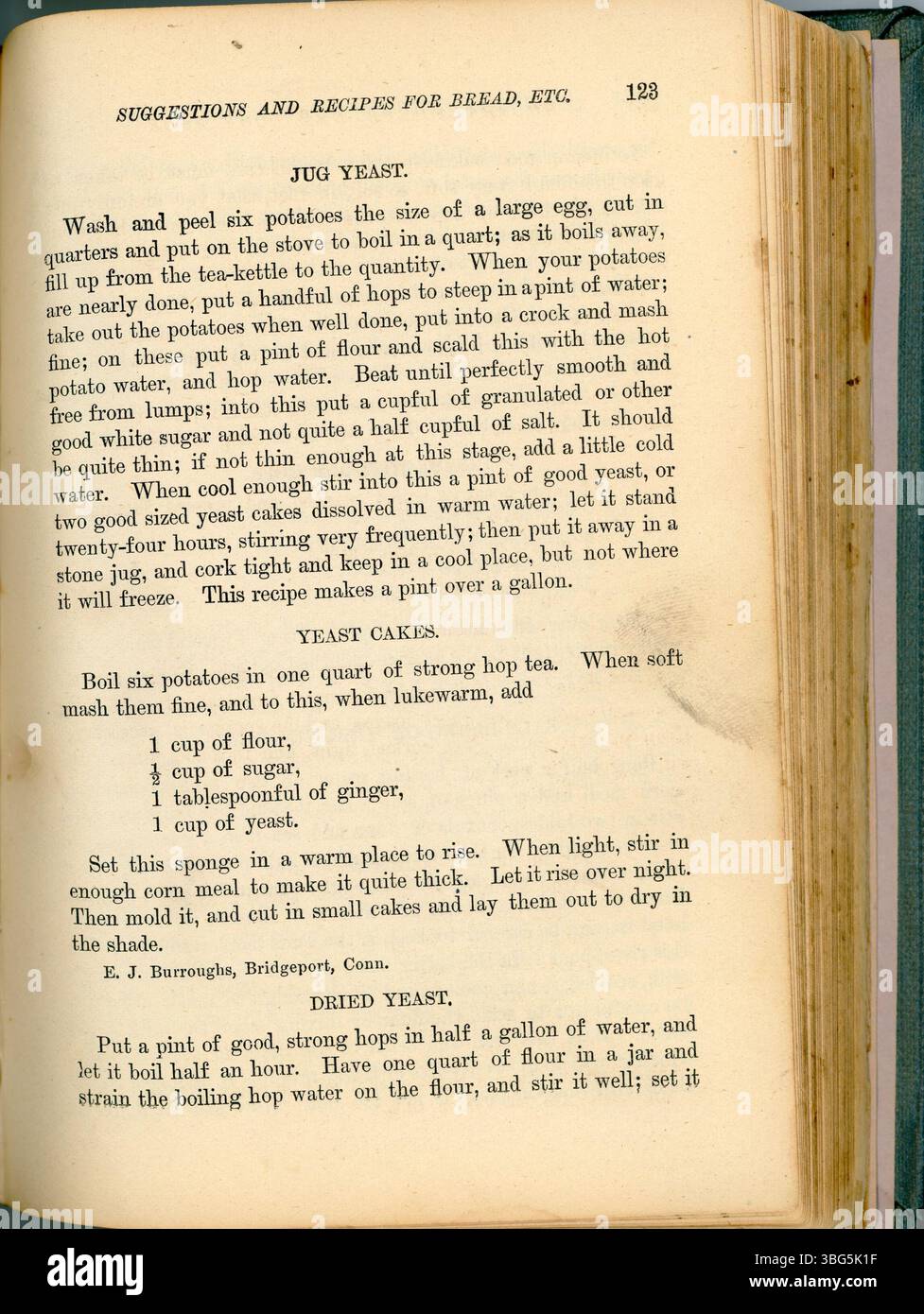 Page 124 includes recipes for sauces and gravies, providing guidance on flavor enhancement and serving techniques in 19th-century cuisine. Stock Photo