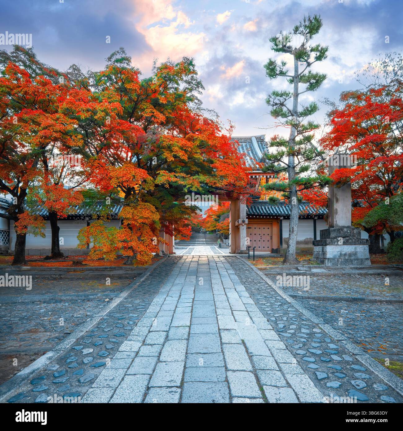 Kyoto, Japan - November 20 2024: Shinnyodo or Shinshogokurakuji temple ...