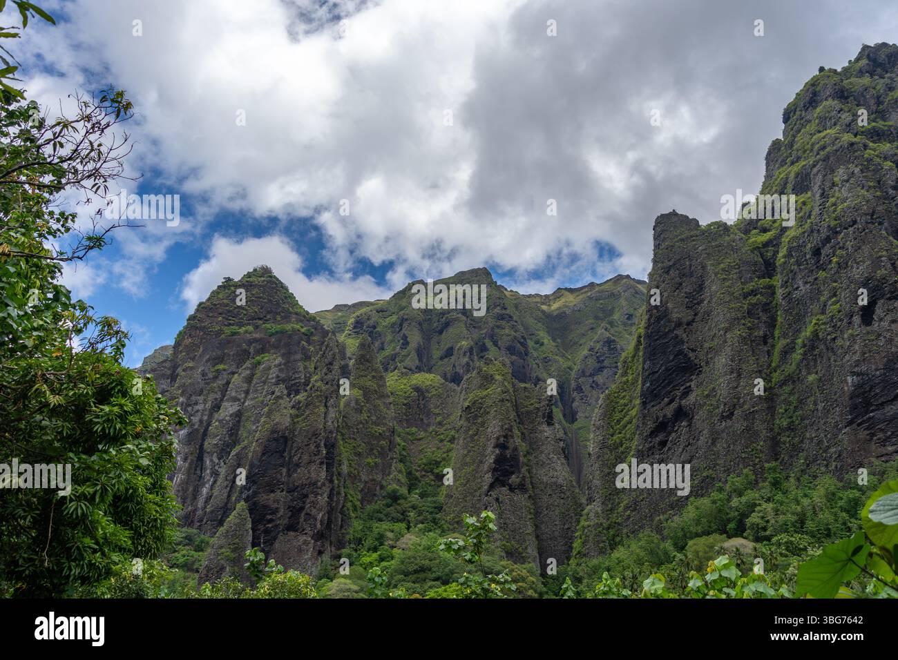 The trek to Vaipo waterfall in Hakaui valley, Nuku Hiva, French ...
