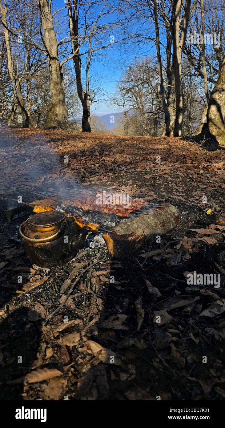 The lush forest view forms a beautiful backdrop to this traditional method of making food, capturing the essence of a Persian picnic amidst nature - Smartphone Captured Stock Image