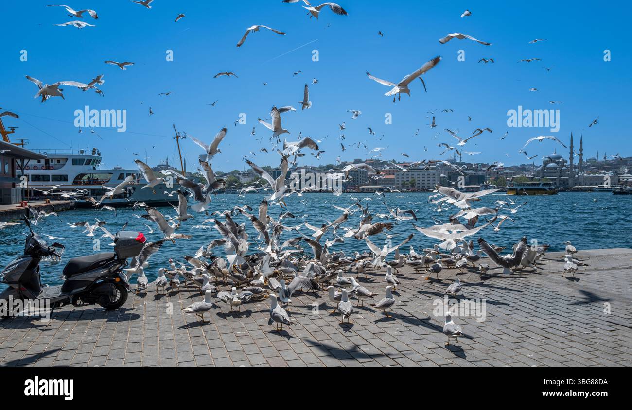 Türkiye turkey istanbul karaköy hi-res stock photography and images - Alamy