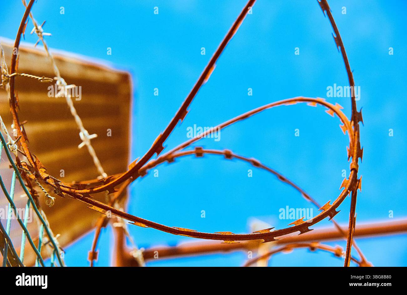 Rusty razor wire against blue sky Stock Photo