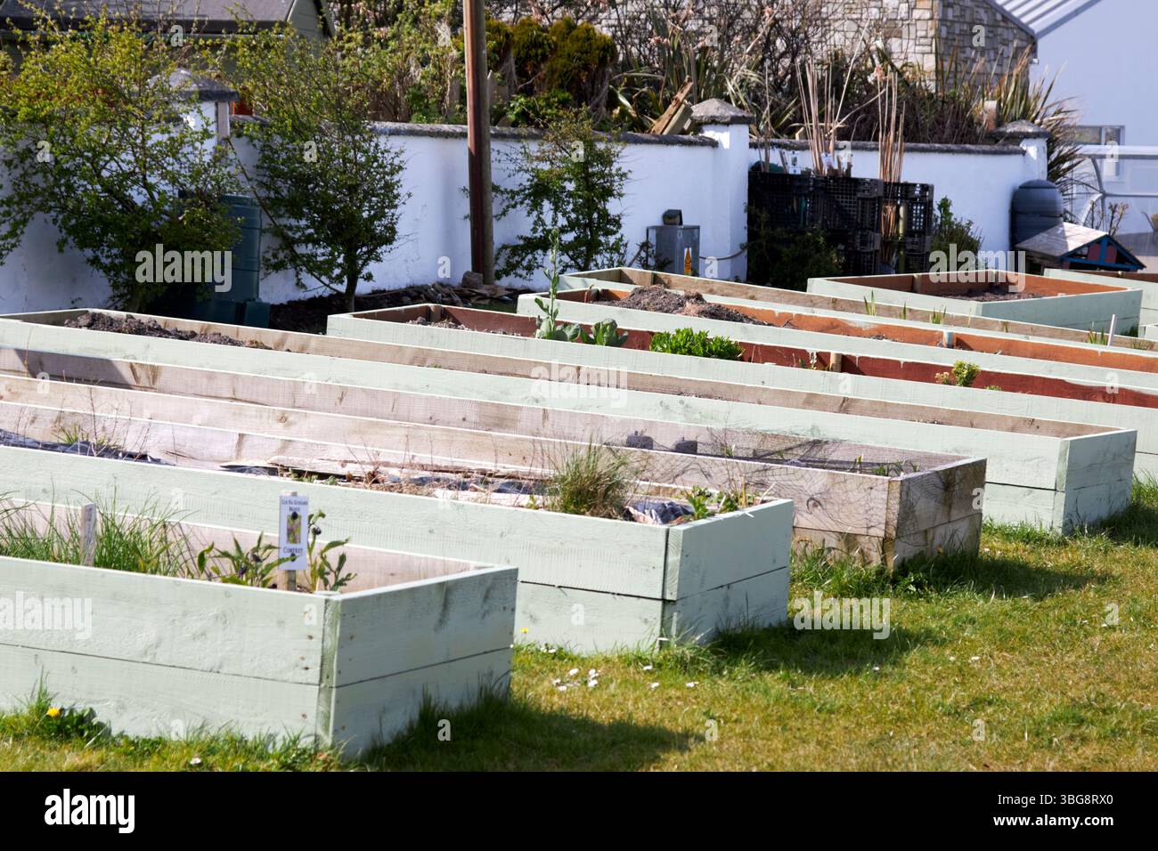 raised beds in a community garden belmullet county mayo republic of ireland Stock Photo