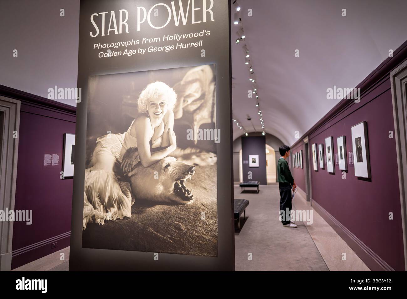 WASHINGTON DC — A visitor examines the 'Star Power: Photographs from Hollywood's Golden Age by George Hurrell' exhibition at the Smithsonian National Portrait Gallery. The exhibition showcases the work of George Hurrell (1904-1992), who served as Hollywood's preeminent portrait photographer during the 1930s and early 1940s. Hurrell began his career at Metro-Goldwyn-Mayer (MGM) at age twenty-five before opening his own studio on Sunset Boulevard in 1933. His meticulously crafted portraits, known for innovative lighting effects and skillful retouching, helped define the glamorous image of Hollyw Stock Photo