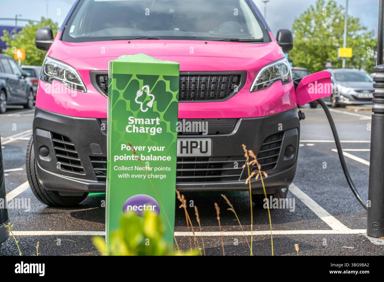 Front View Of Bright Pink Electric Powered Octopus Energy Van Being front-view-of-bright-pink-electric-powered-octopus-energy-van-being