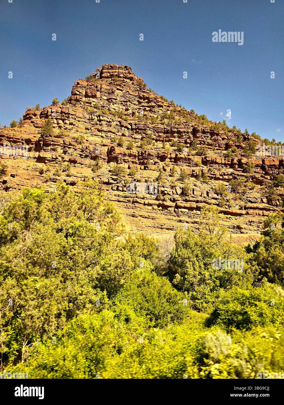 Layered rocky plateau and green foothills under a clear blue sky in the Utah wilderness. - Smartphone Captured Stock Image