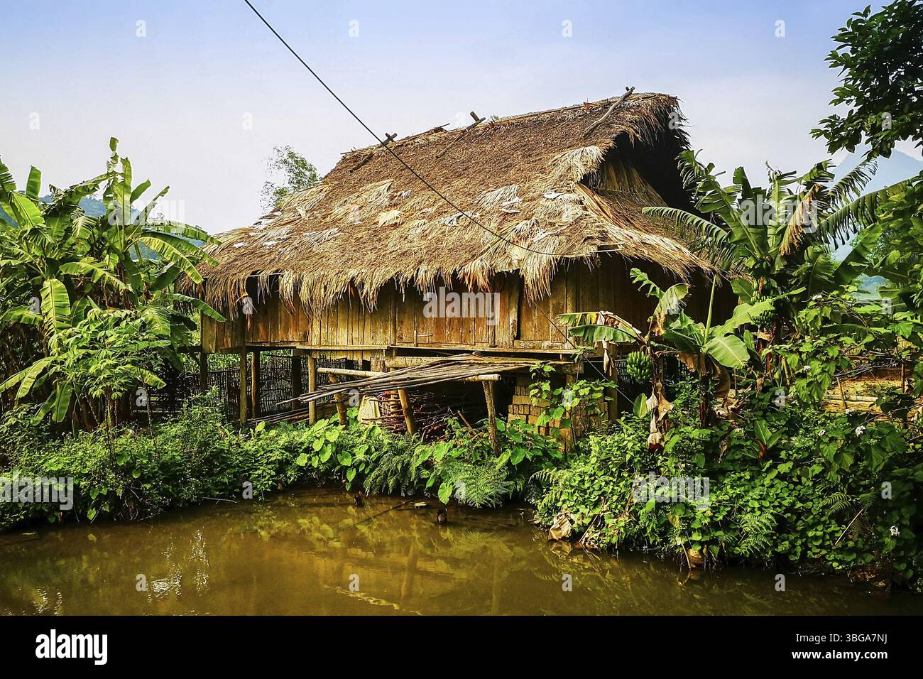 Typical Vietnamese landscape in spring with green vegetation with old ...