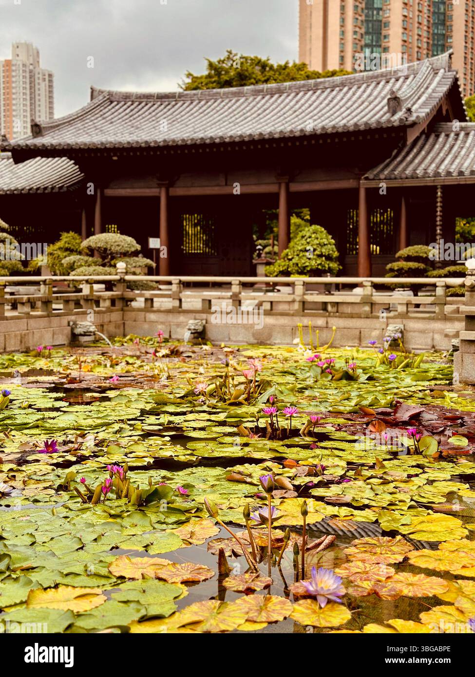 Hong Kong Temple - Smartphone Captured Stock Image