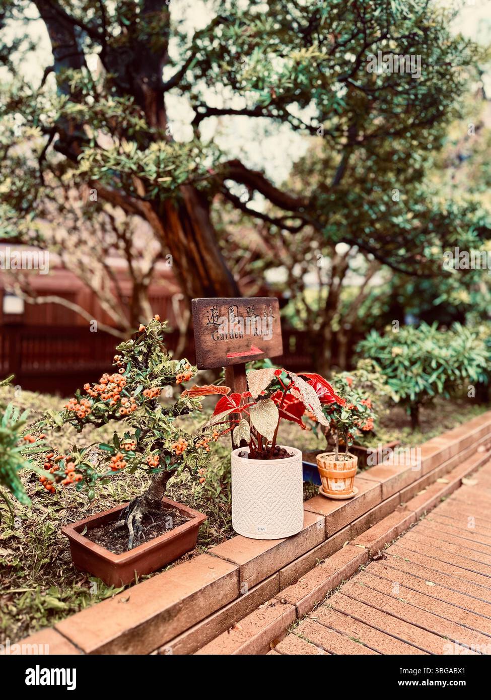 Hong Kong Temple - Smartphone Captured Stock Image