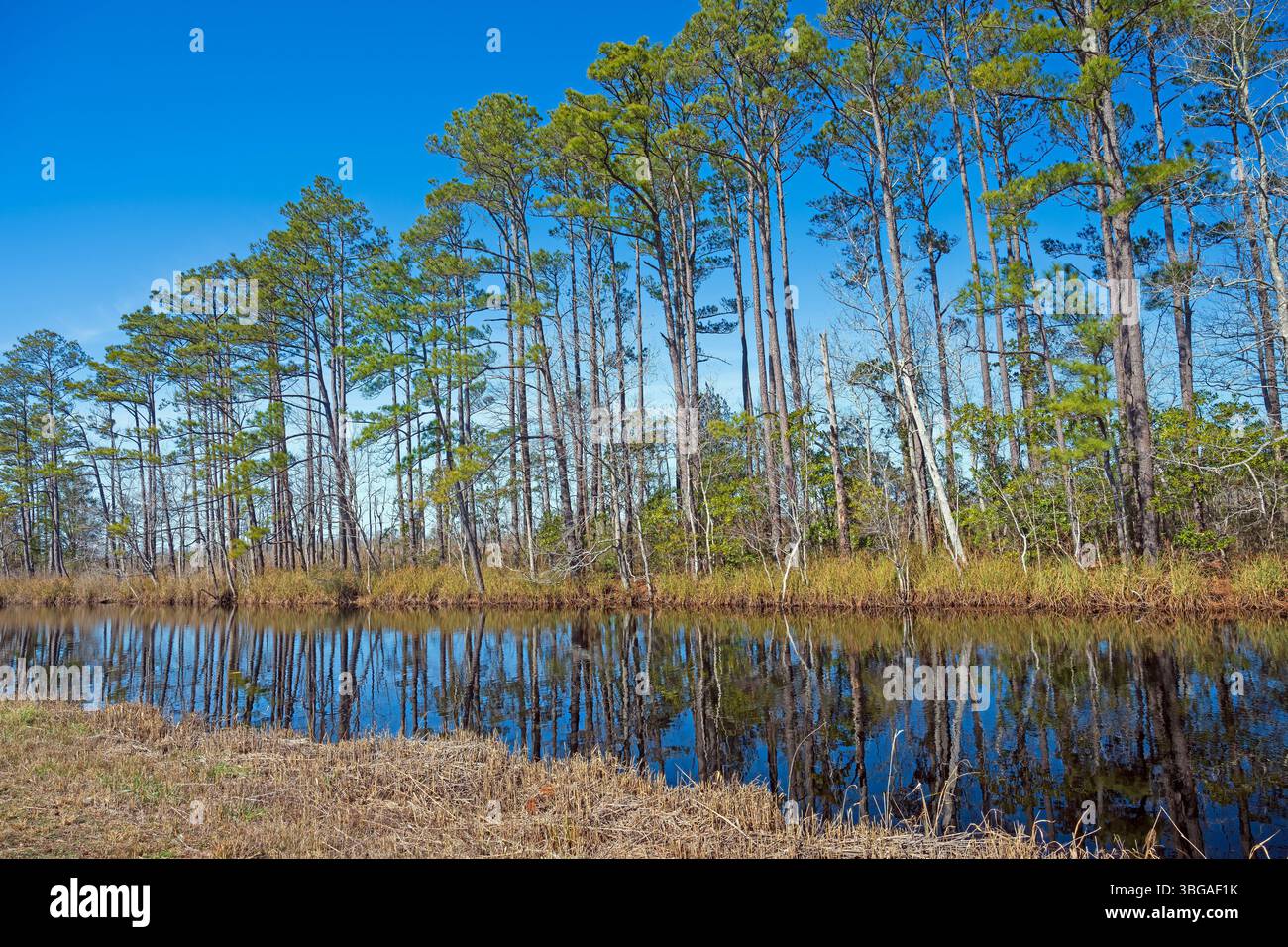 Creef hi-res stock photography and images - Alamy