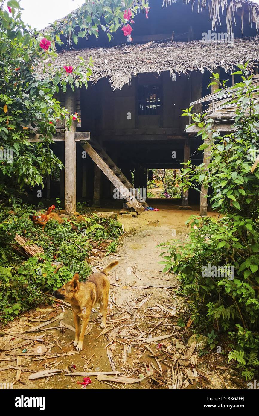Typical Vietnamese landscape in spring with green vegetation with old ...