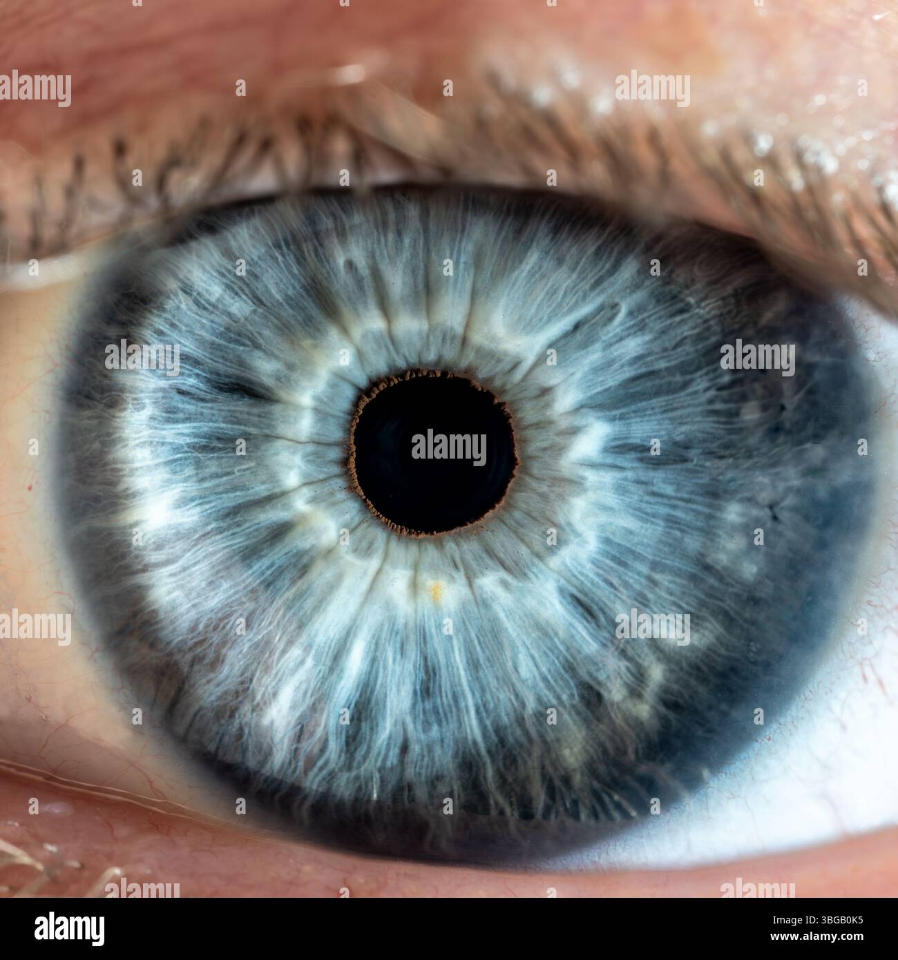 Eye iris close up hi-res stock photography and images - Alamy
