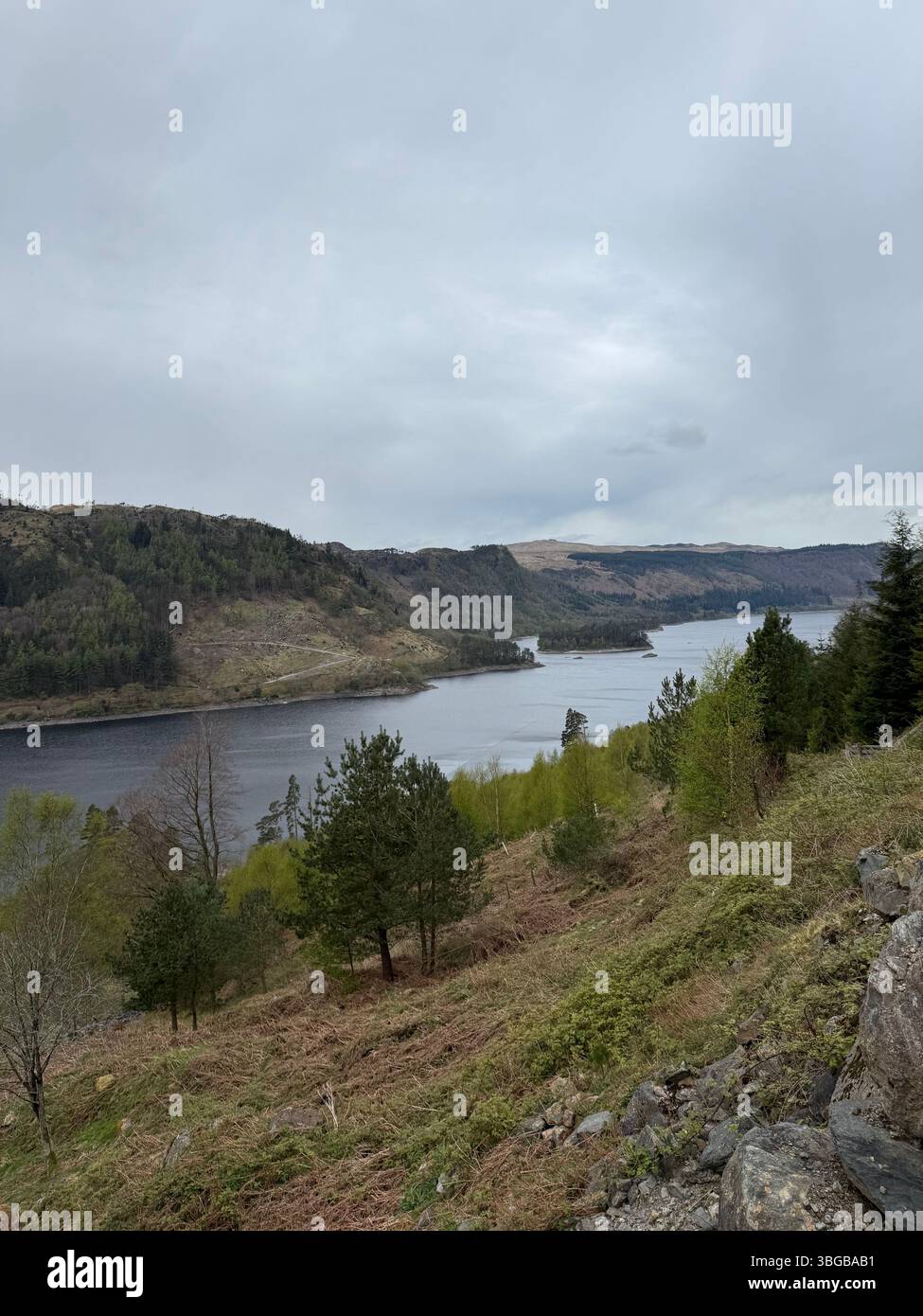 A curated collection of natural landscapes from across the globe, capturing the diverse beauty of our planet’s wild places - Smartphone Captured Stock Image