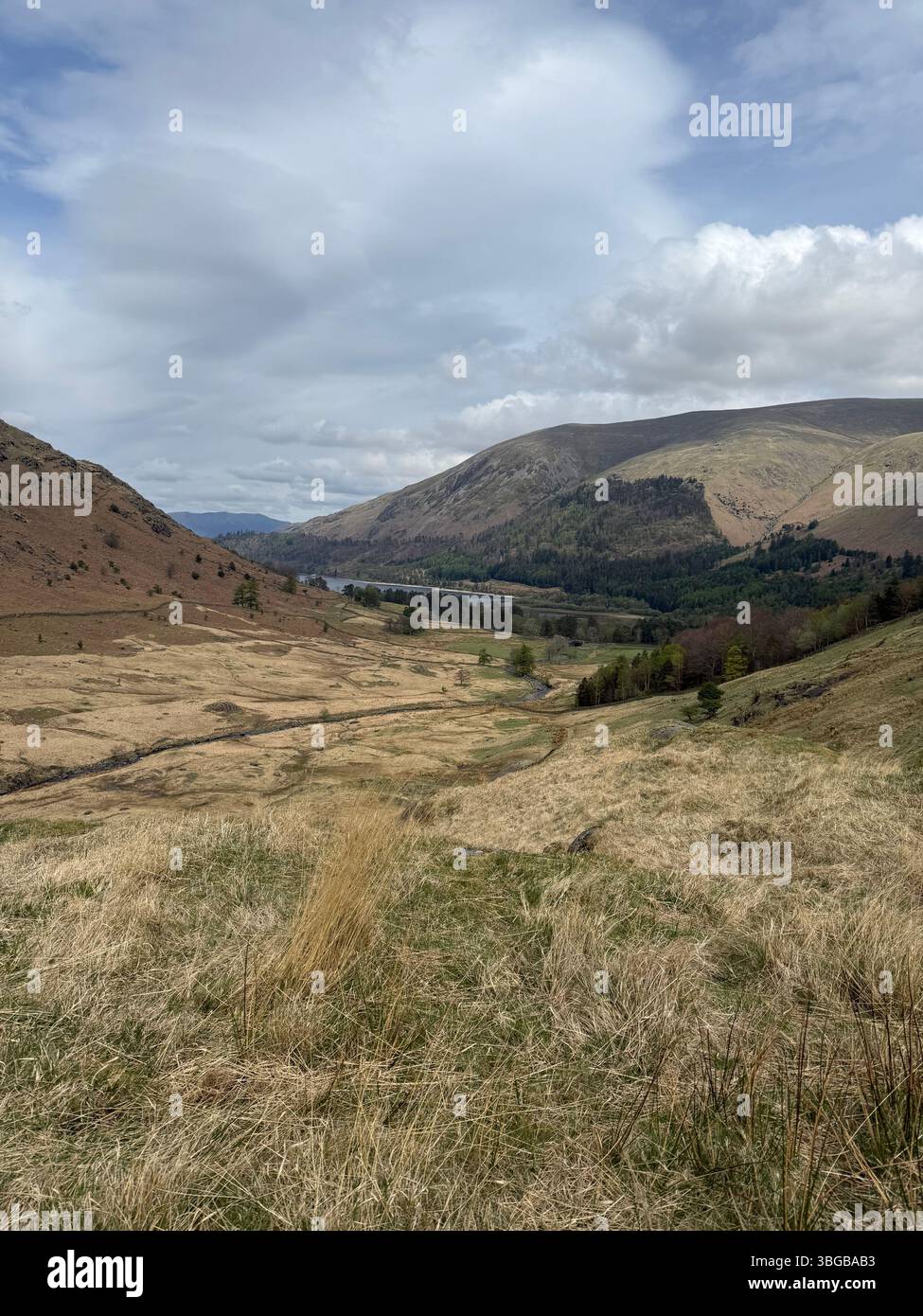 A curated collection of natural landscapes from across the globe, capturing the diverse beauty of our planet’s wild places - Smartphone Captured Stock Image