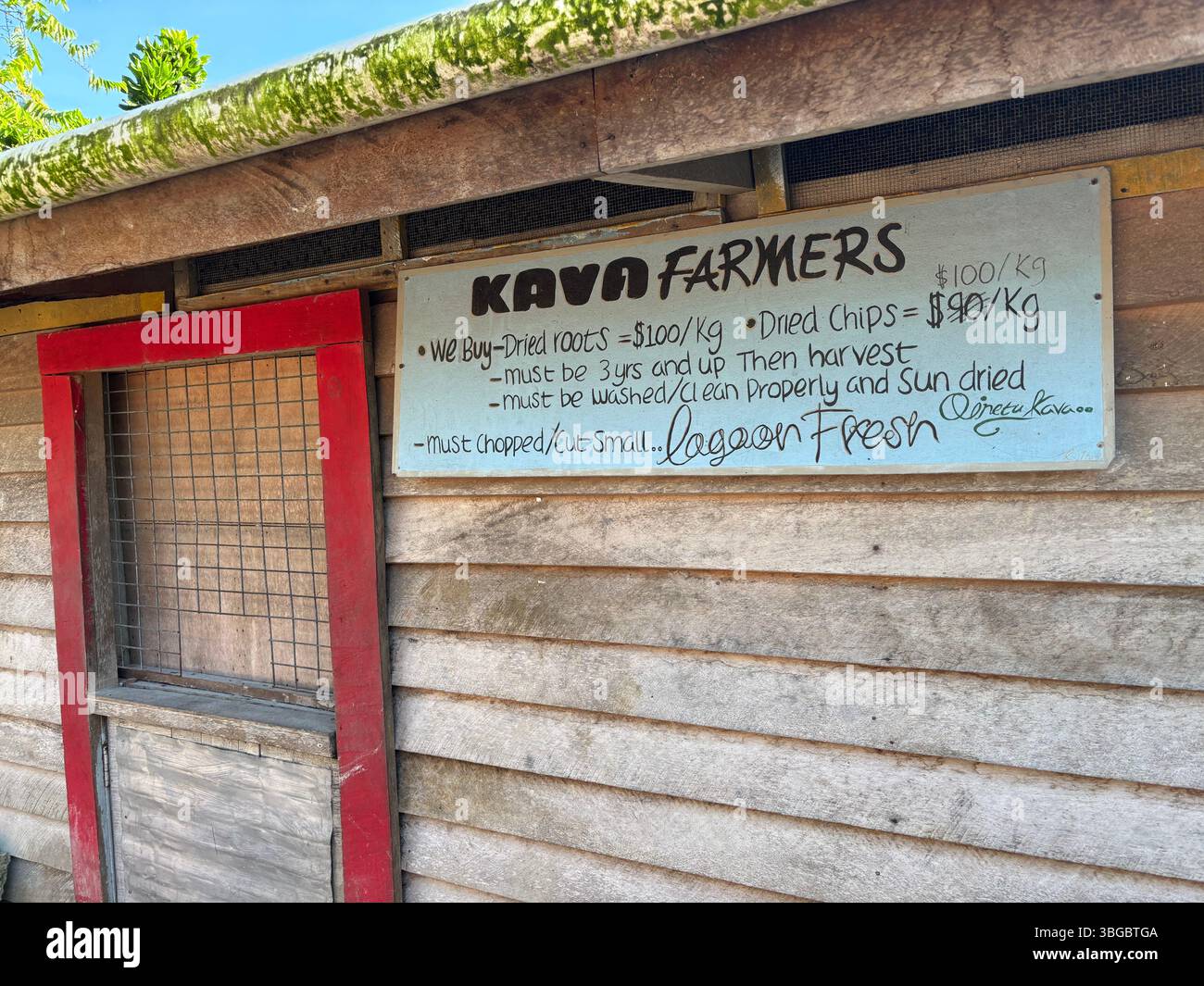 Instructions for kava farmers, Munda, New Georgia, Western Province, Solomon Islands. No PR - Smartphone Captured Stock Image