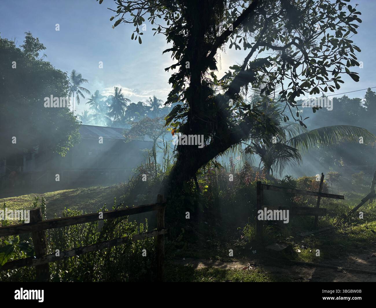 Early morning in the village, Munda, New Georgia, Western Province, Solomon Islands Stock Photo