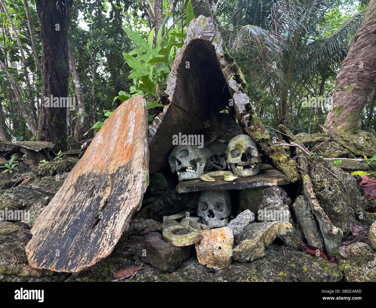 Chieftan skulls from 200 years earlier, Skull Island, Vona Vona Lagoon, Western Province, Solomon Islands - Smartphone Captured Stock Image