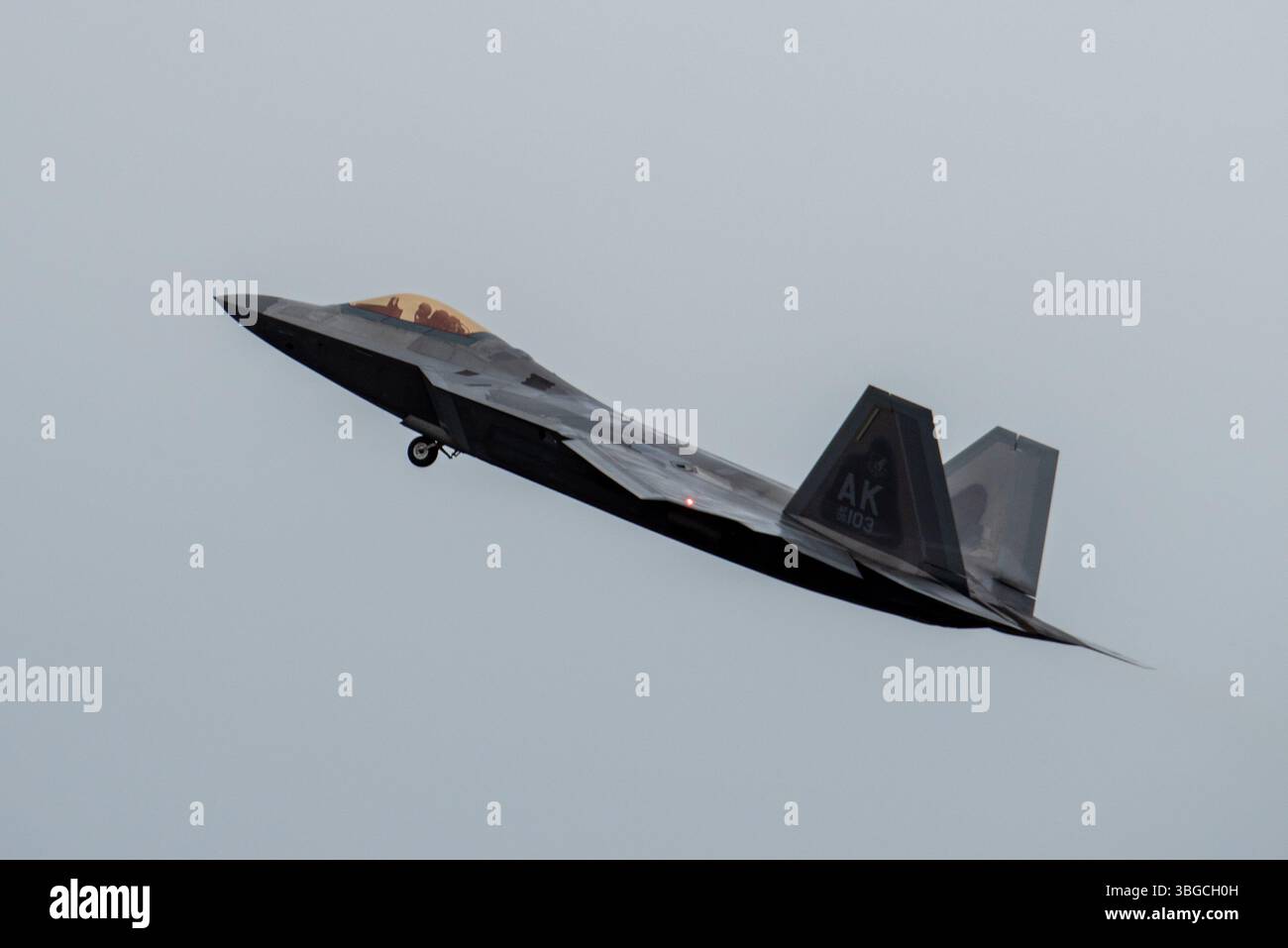 A U.S. Air Force F-22 Raptor assigned to the 3rd Wing conducts aerial maneuvers during Exercise Tropic Tundra at a remote location in Alaska, June 3. The F-22 is an American twin-engine, all-weather, supersonic stealth fighter aircraft and provides power projection across the Indo-Pacific region. Airmen assigned to the 673d Air Base Wing and 3rd Wing  came together to form the 3rd Air Expeditionary Wing during the exercise, testing and training their ability to receive and launch F-22 Raptor aircraft in austere locations and execute Agile Combat Employment techniques in preparations for Exerci Stock Photo