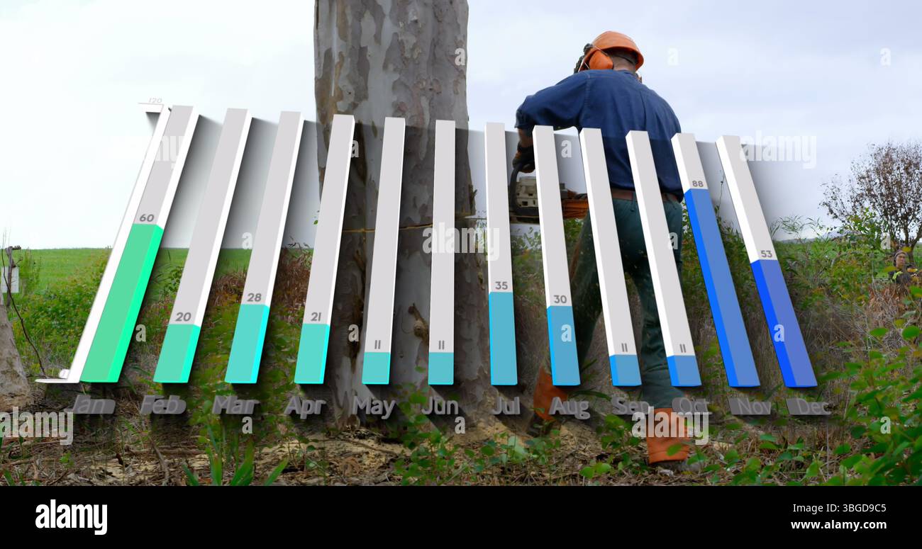 Cutting helmeted logger using chainsaw on tree trunk in field, with 3D bar chart, copy space Stock Photo