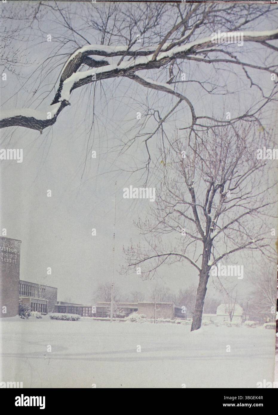Marion Franklin High School's 1968 yearbook, titled Diabolis, features