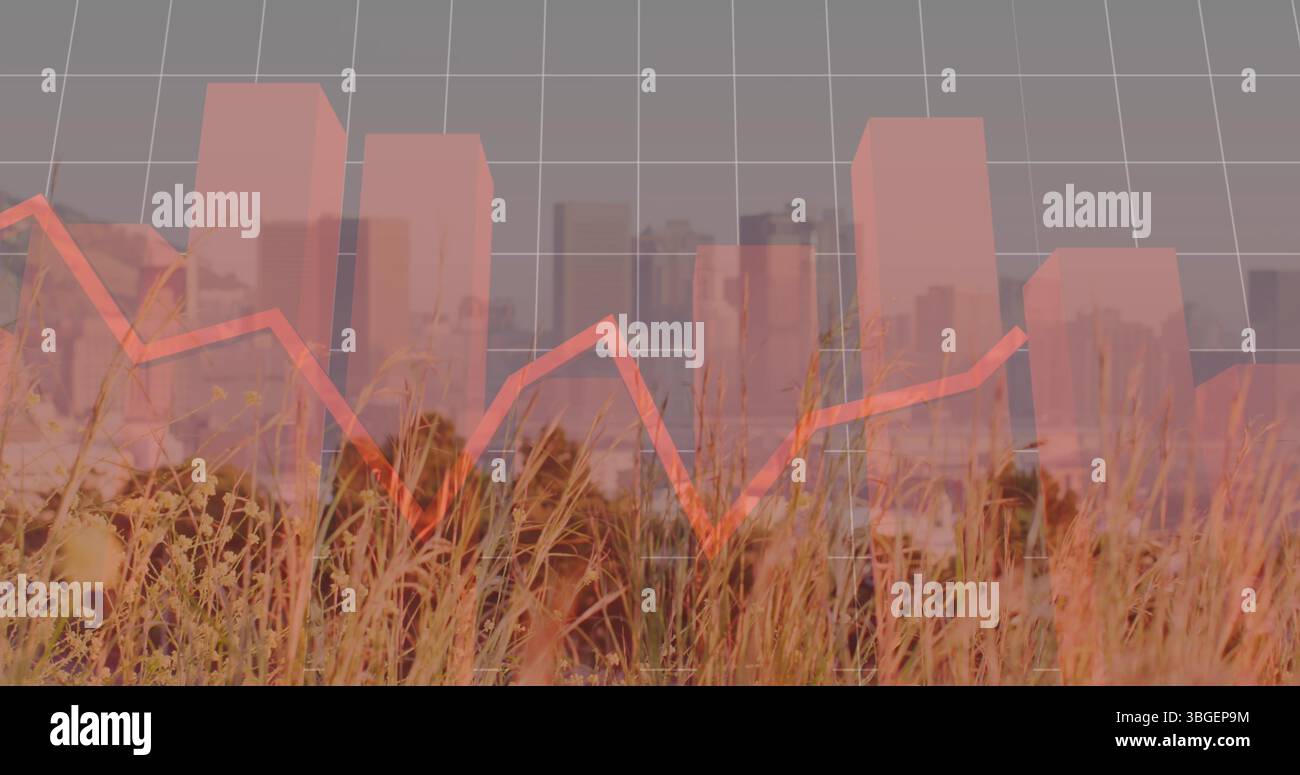 Displaying red bar chart and jagged line graph over dry grass and city skyline, data visualization Stock Photo