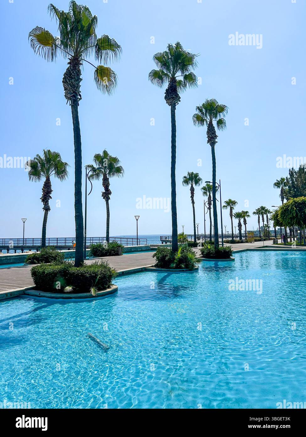 Tall palm trees line a serene poolside promenade with clear blue water and a view of the sea under a bright, cloudless sky. - Smartphone Captured Stock Image