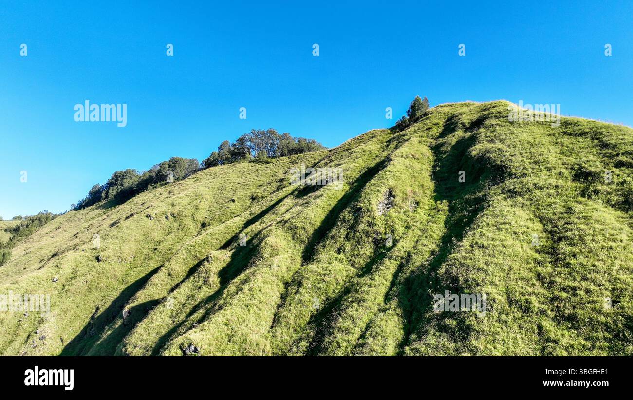 The rolling green ridges of Sembalun shine under a flawless blue sky ...