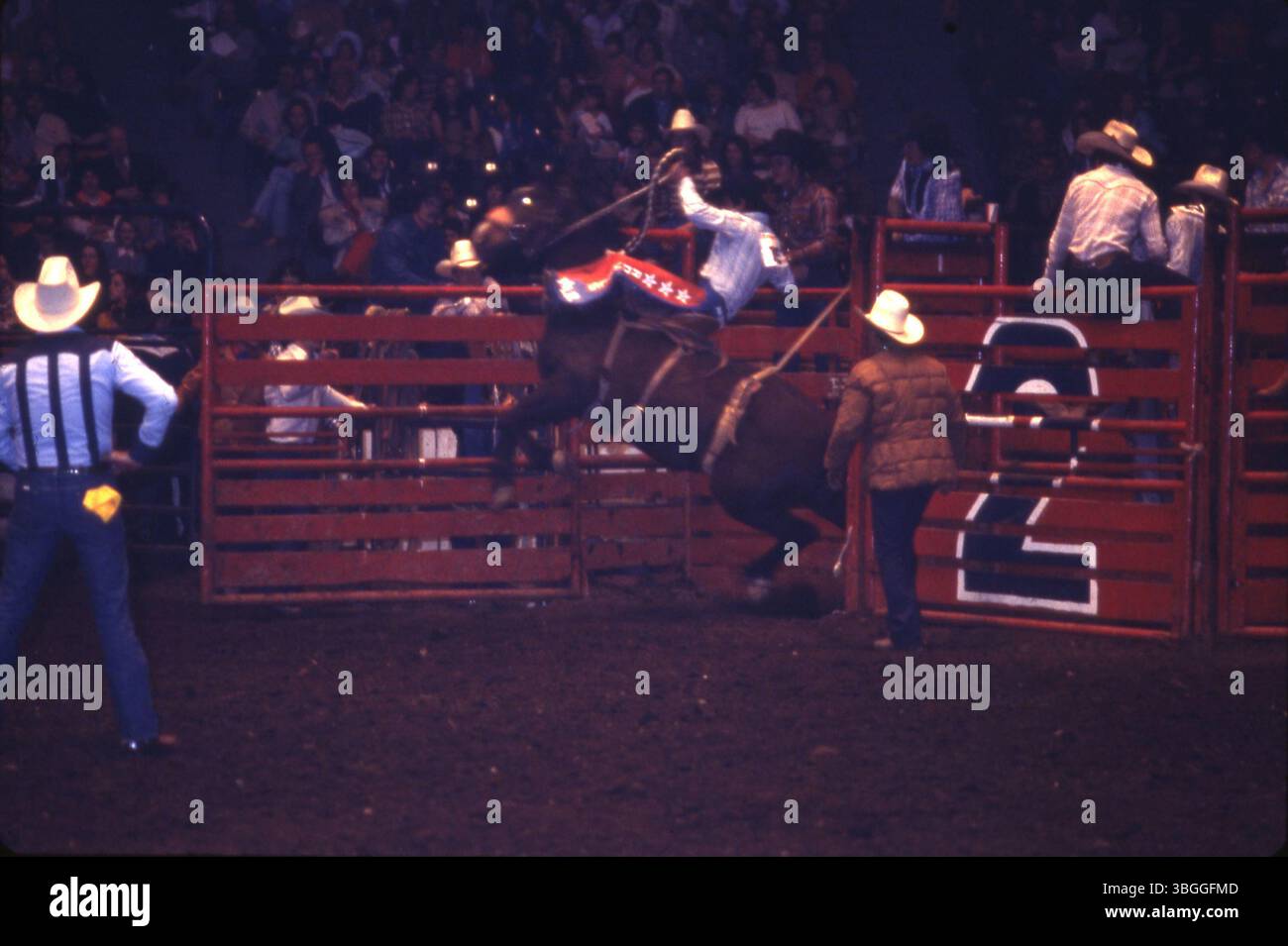 A rodeo rider grips the rope while riding a horse after being released ...