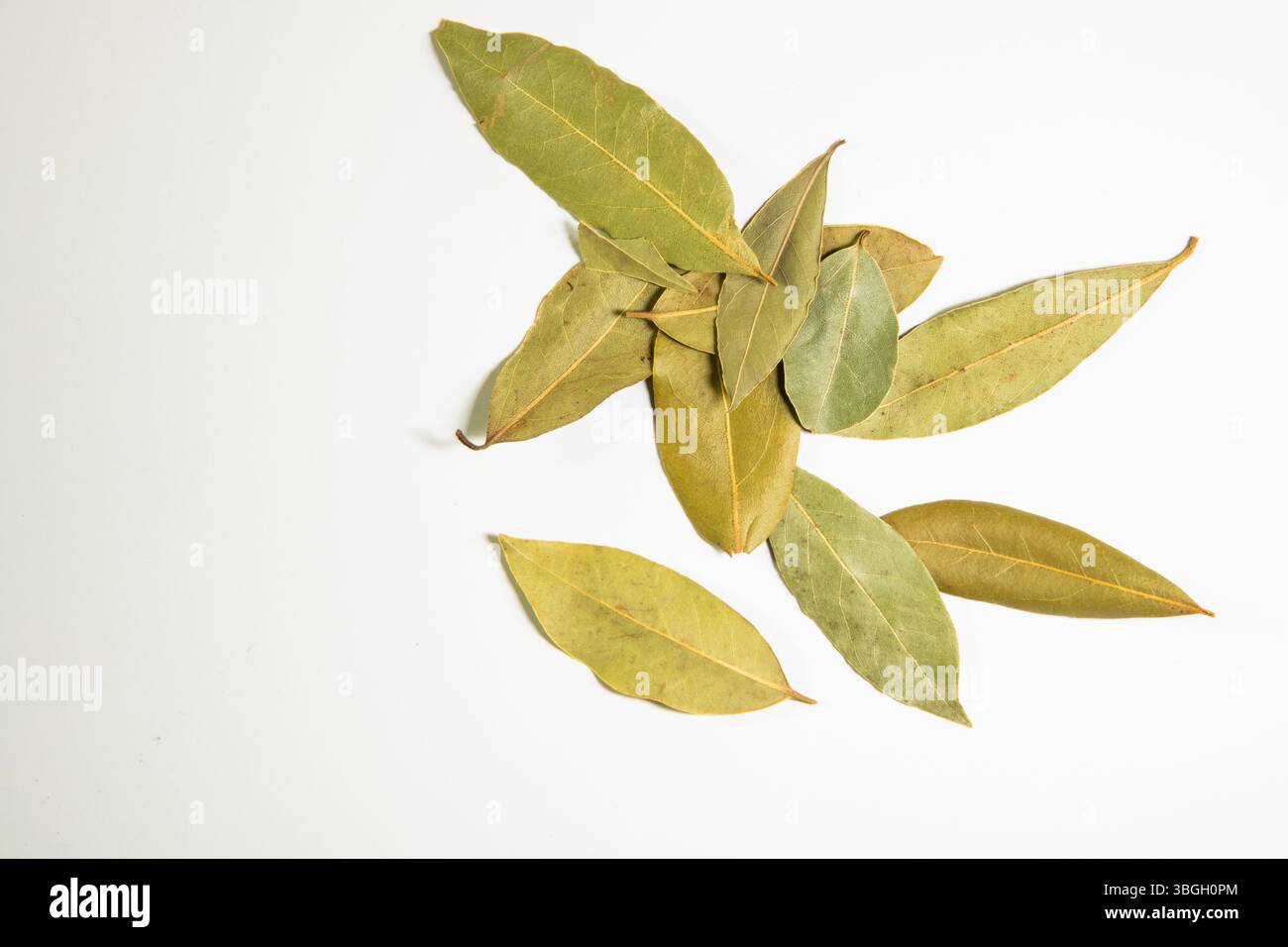 Scattered dried bay leaves on a white background, aromatic herb used in cooking and food styling. Stock Photo