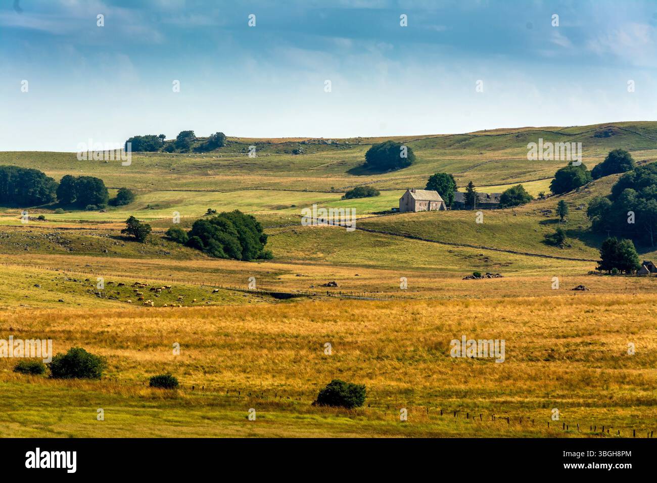 Lush green and golden fields extend across the landscape, with a ...