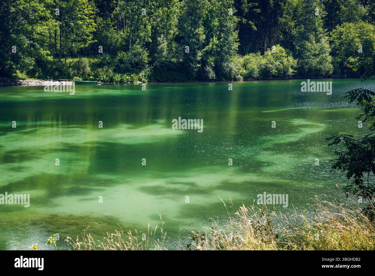 Fischen im allgau germany hi-res stock photography and images - Alamy