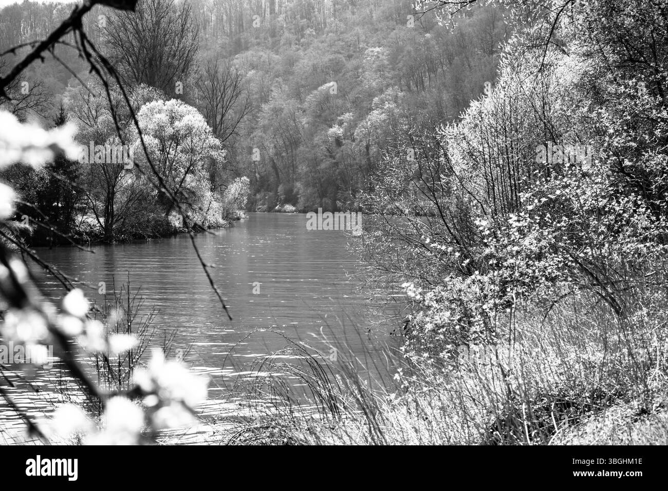 Spring baden Black and White Stock Photos & Images - Alamy