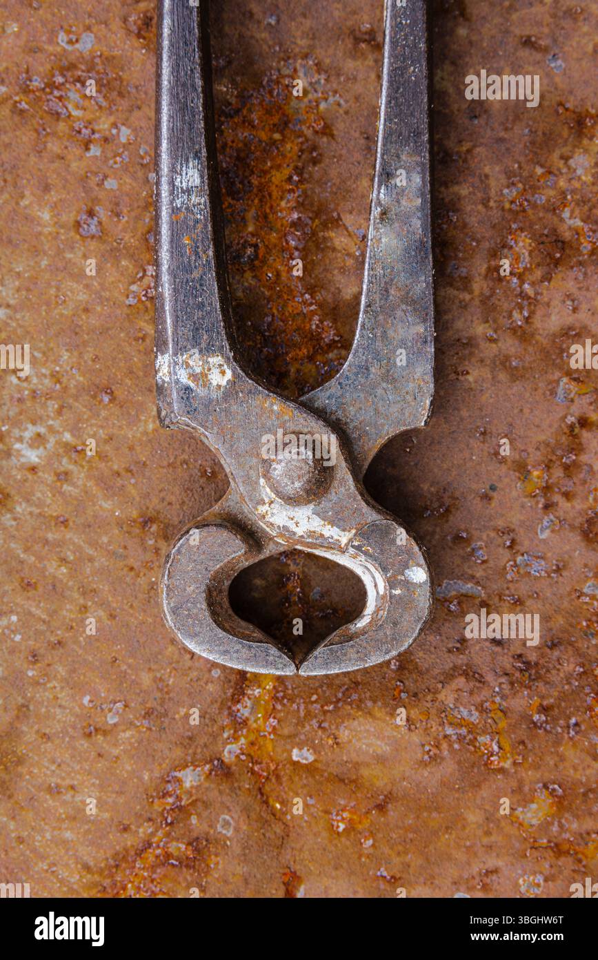 Old rusty pliers on a rusty background, close-up Stock Photo