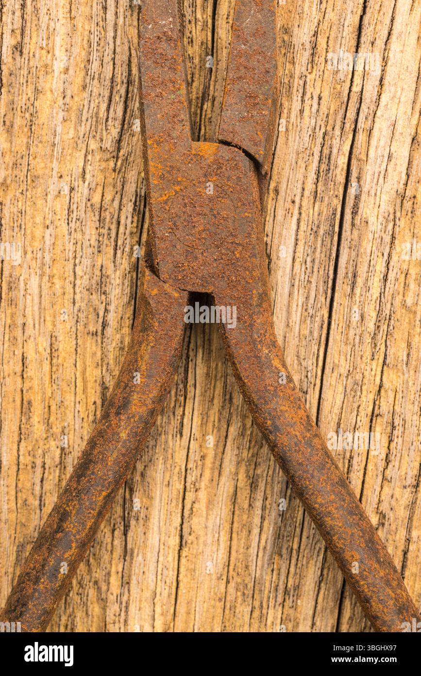 Old rusty pliers on a rusty background, close-up Stock Photo