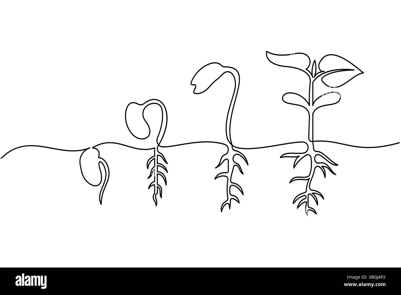 Simple plant life cycle icon linear style vector drawing Stock Vector ...