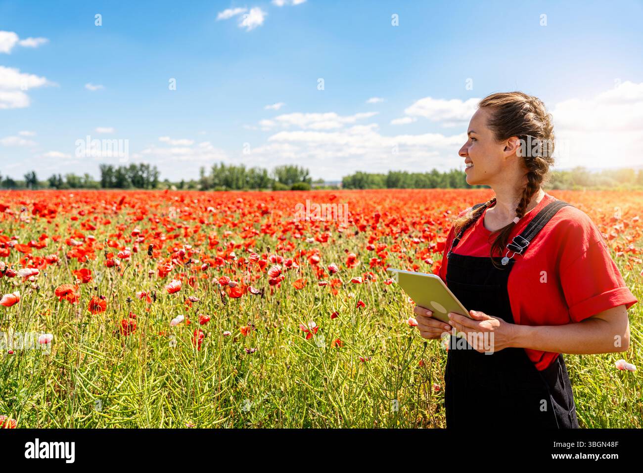 Biodiversity monitoring hi-res stock photography and images - Alamy