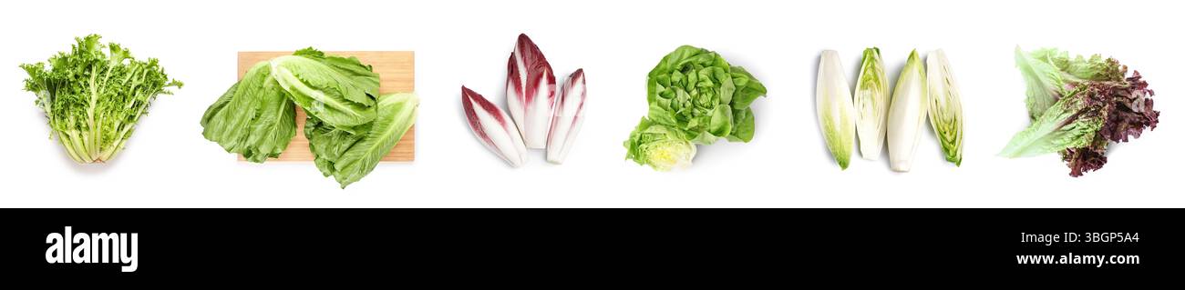 Many different types of lettuce on white background Stock Photo