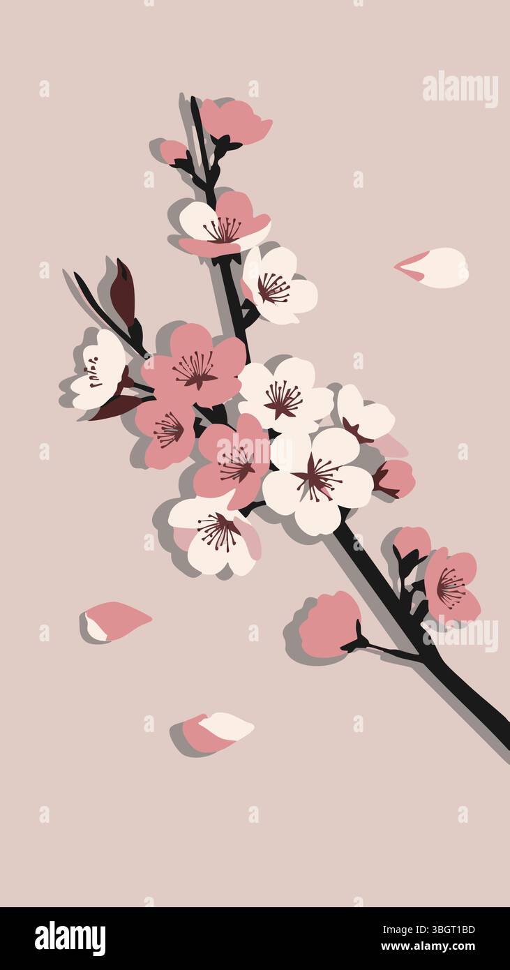 A stylized illustration of a cherry blossom branch with pink and white ...