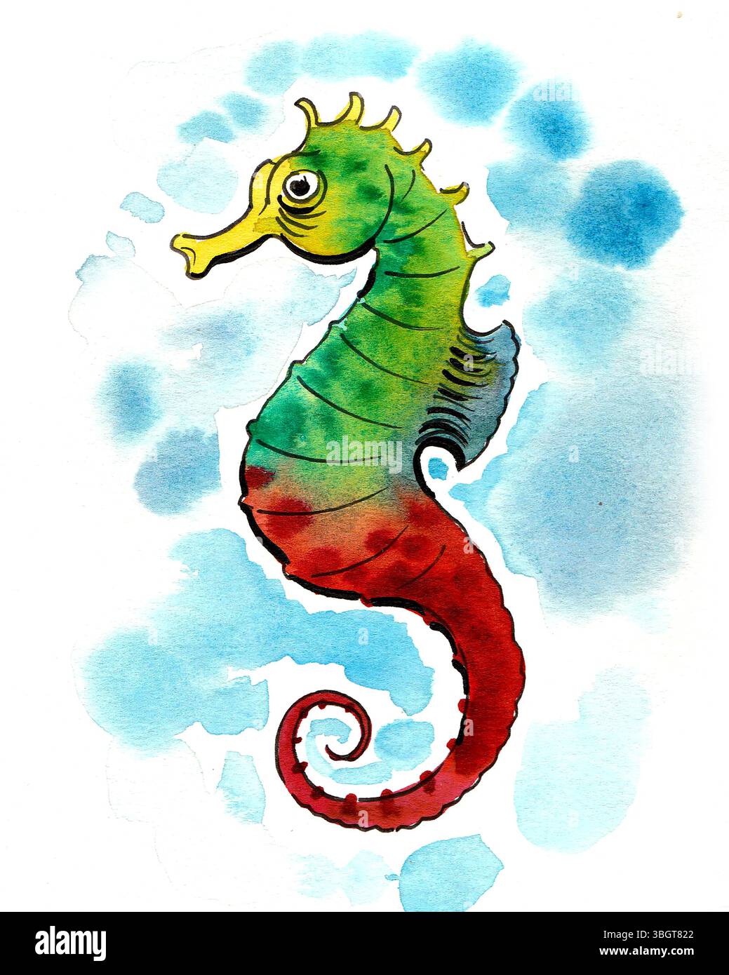 Seahore Fish Seahorse fish. Hand drawn watercolor sketch Stock Photo - Alamy