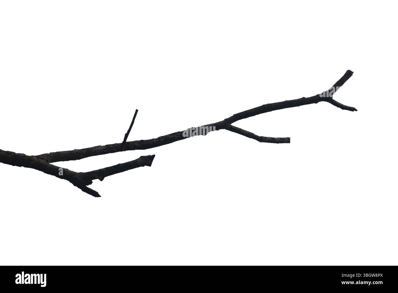 unique toys mania king