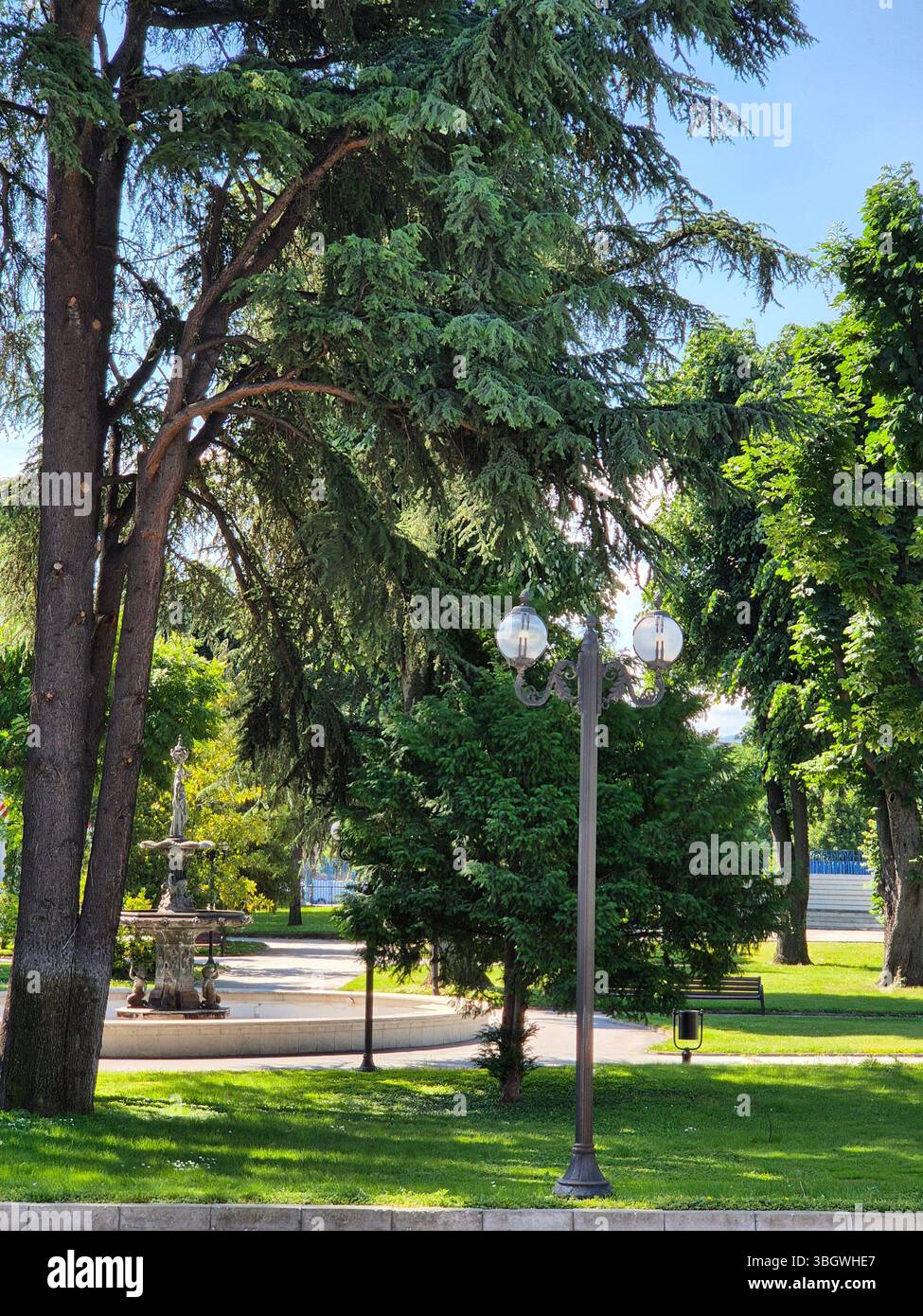Spring park with la green trees, fountain and bench. beautiful view - Smartphone Captured Stock Image
