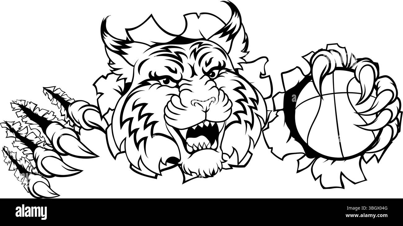 Wildcat Bobcat Basketball Animal Sport Team Mascot Stock Vector Image \u0026 Art  - Alamy, image size:1300x730