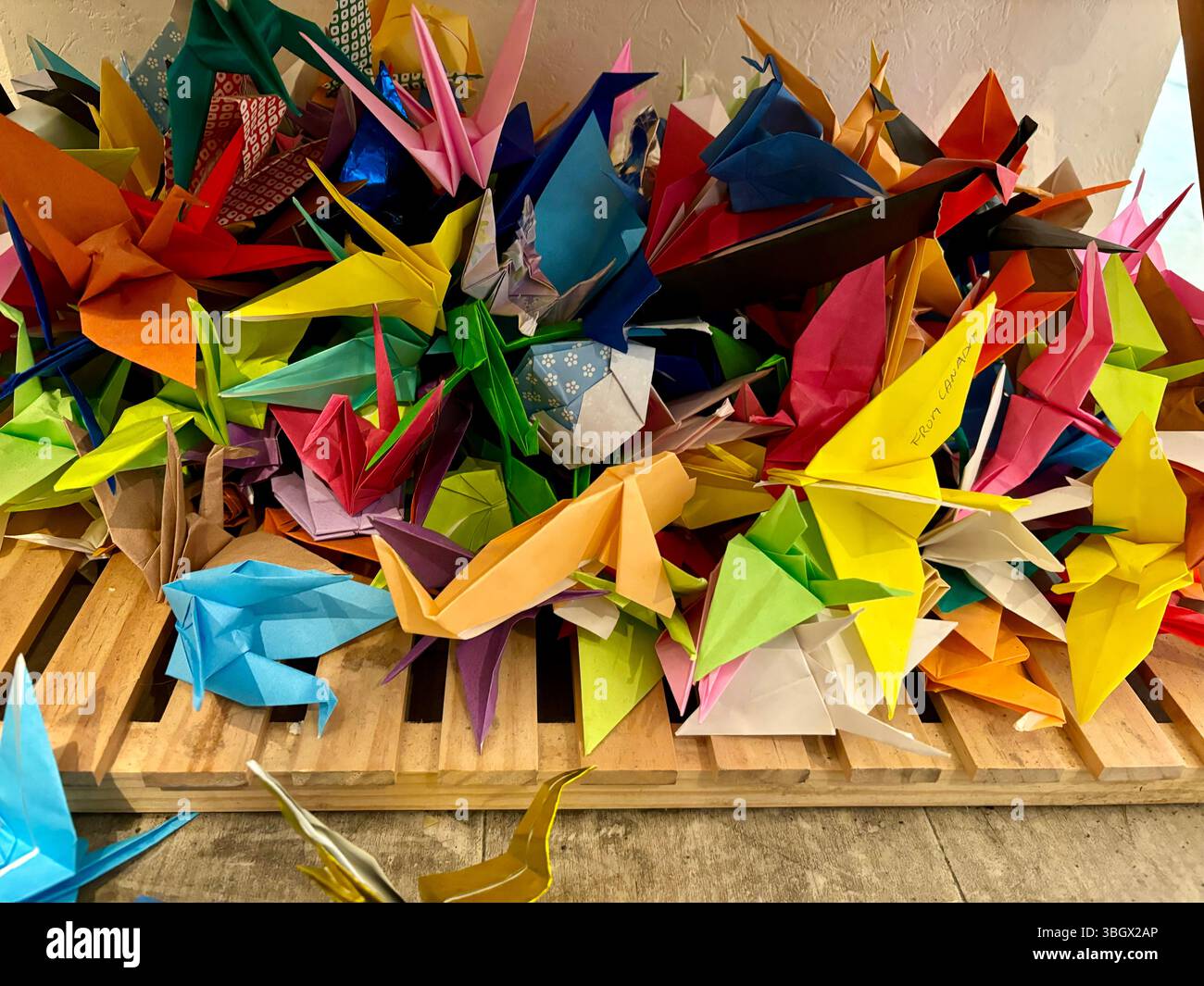 Japan Gotokuji Temple - Smartphone Captured Stock Image