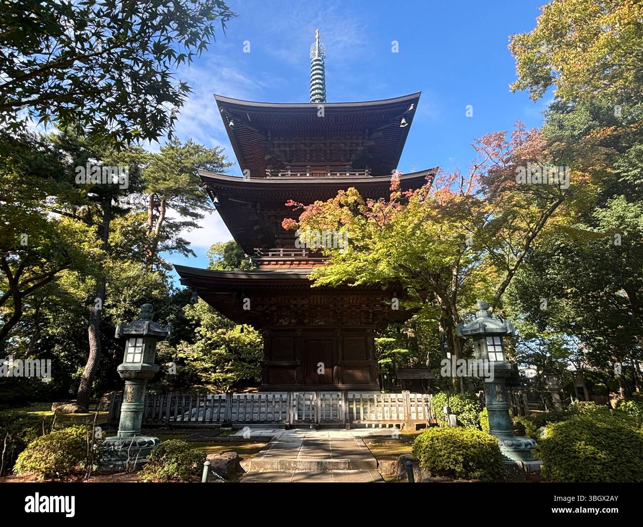 Japan Gotokuji Temple - Smartphone Captured Stock Image