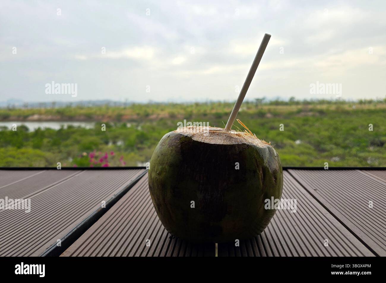 Hoi An, Vietnam - October 17, 2024: Close up of opened aromatic coconut on wooden table with water droplets. - Smartphone Captured Stock Image