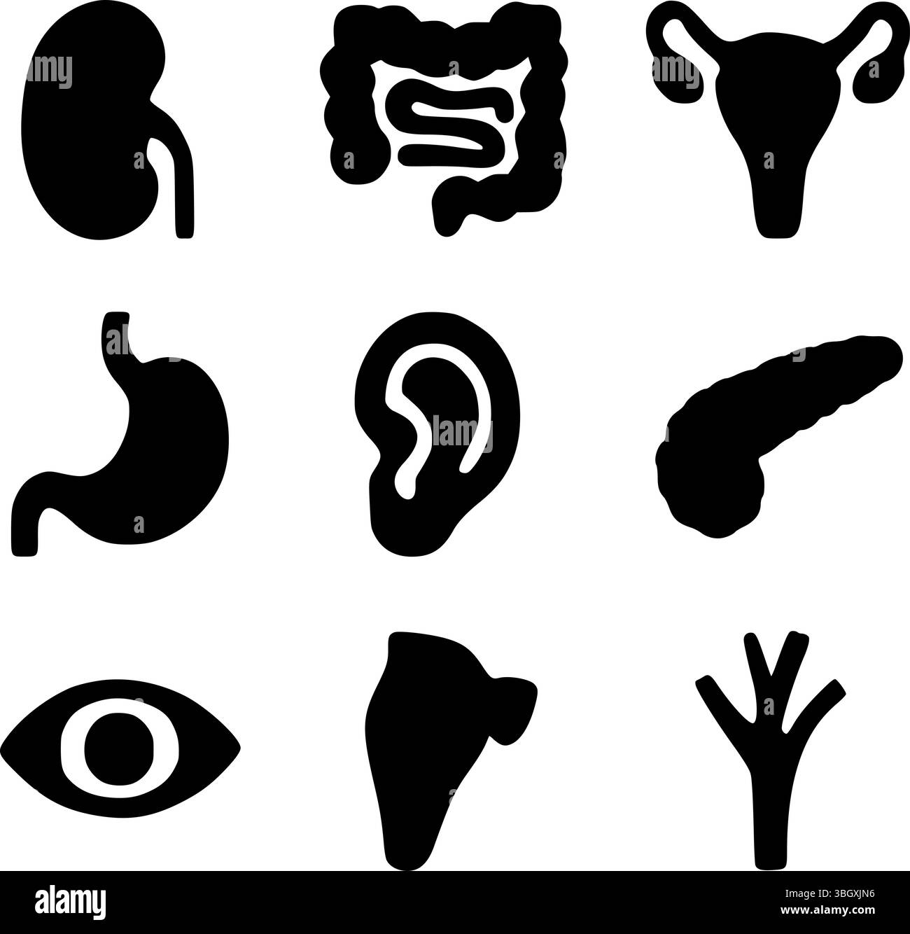 Human Internal Organs and Sense Organs Silhouette Icon Set | Medical Anatomy Vector Stock Vector